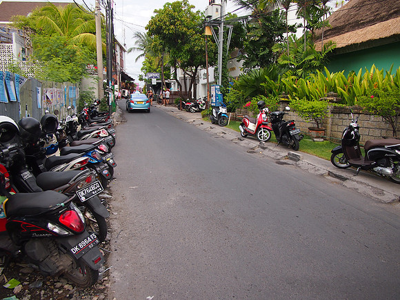 P3130809-jalan-kayu-jati