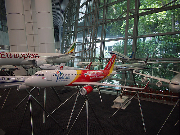 P3110644-vietjet-model