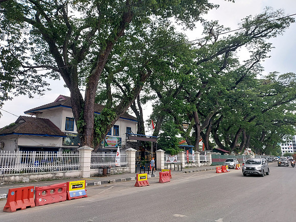 20230728_172452-merdeka-trees