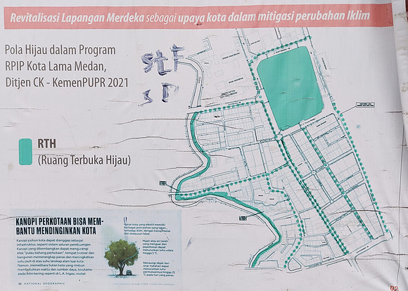 20230728_172925-tree-plan