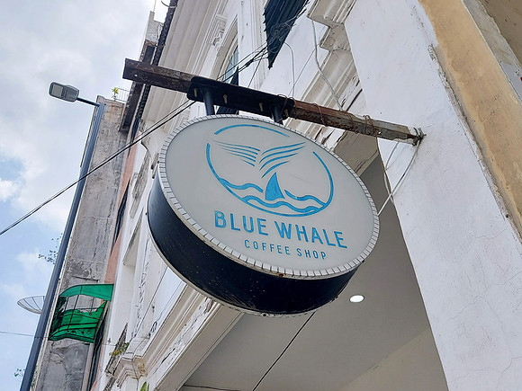 20230729_132300-blue-whale