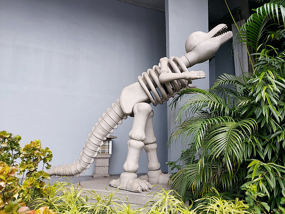 20230730_122657-dinosaur