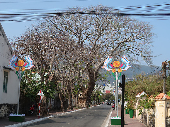 IMG_8208-nguyen-hue