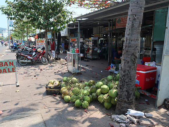 IMG_8262-coconuts