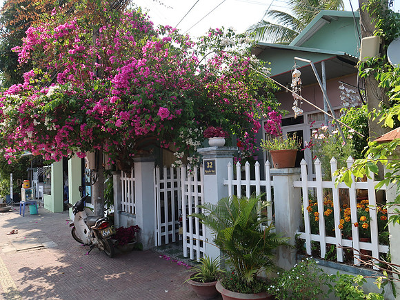 IMG_8272-32-nguyen-hue