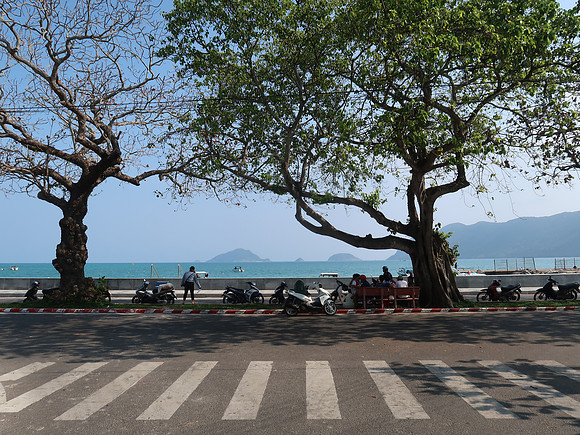 IMG_8291-seafront-trees
