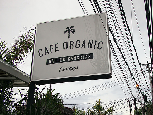 P3140870-cafe-organic