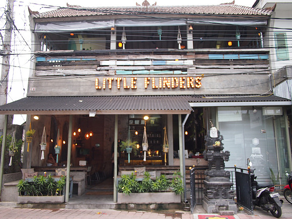 P3140882-little-flinders
