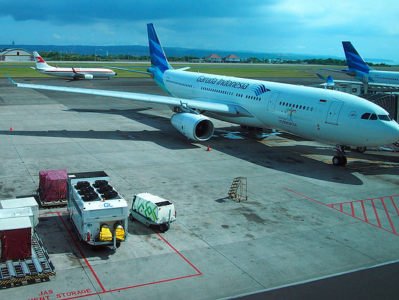P3171021-garuda
