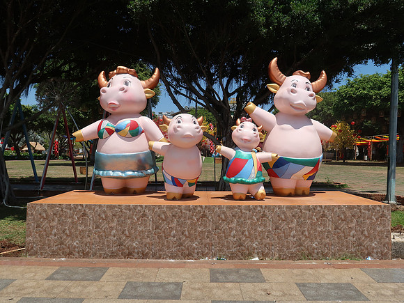 IMG_8612-ox-family