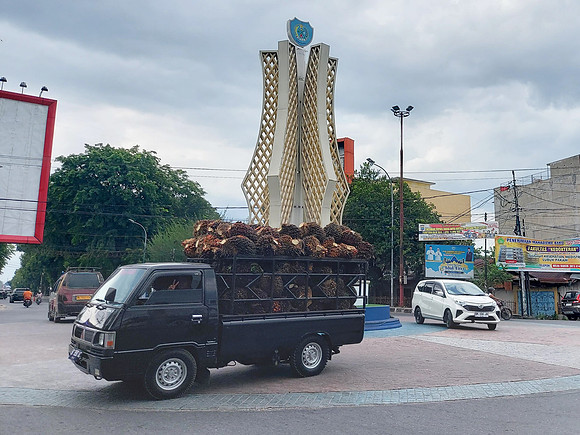 20230802_153901-palm-oil-truck