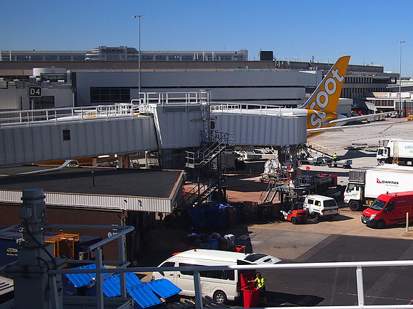 P3271448-scoot-at-mel
