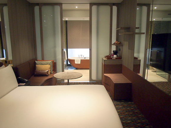 P3271485-room