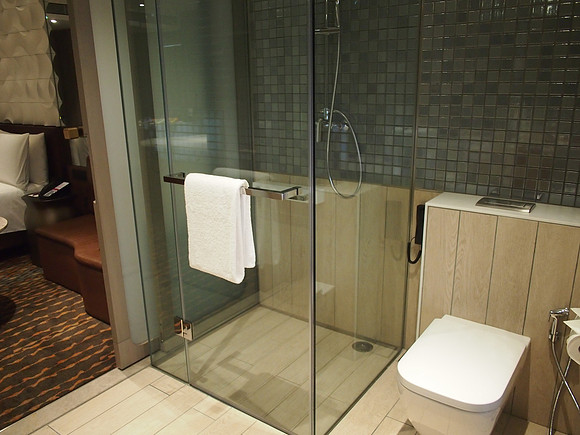 P3271497-shower-box