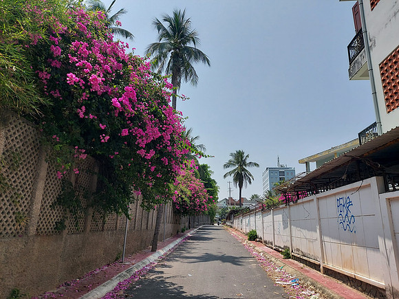 20220417_124300-beach-access-alley