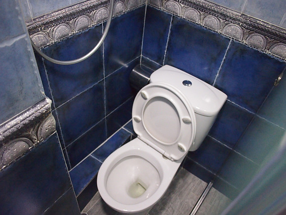 P3281615-temple-street-toilet