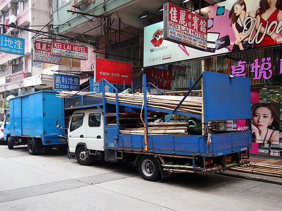 P3301706-bamboo-truck