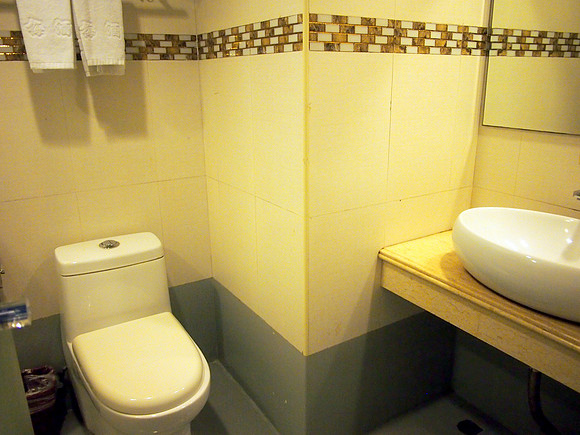 P3311781-toilet