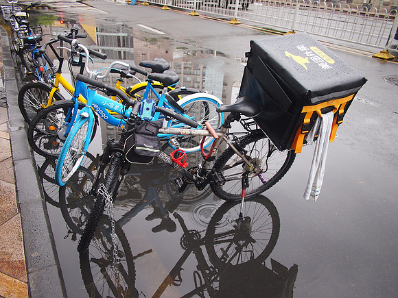 P3311814-roo-bike