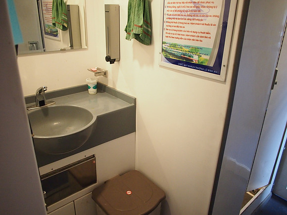 P5032160-sink