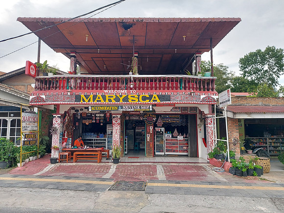 20230804_163137-marysca