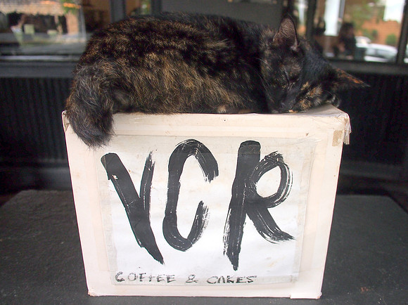 P5132500-vcr-cat