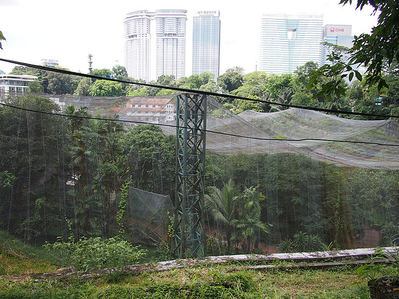P5152570-kl-bird-park-view