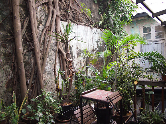 P5162683-merchants-lane-garden