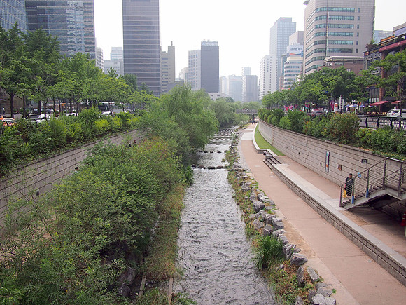 P6283945-cheonggyecheon-stream-grenery