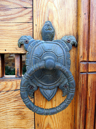 P6294064-turtle-knocker