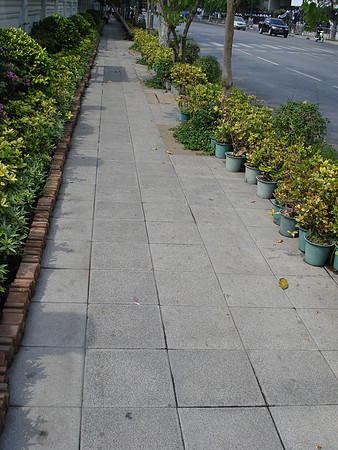 pot plants on the footpath, Bangkok - Thailand.
