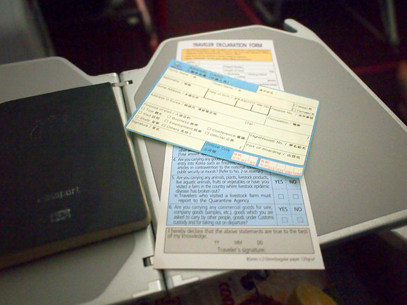 P6283837-south-korea-immigration-forms