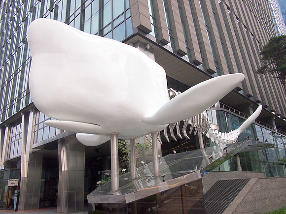 P6283942-signature-towers-whale