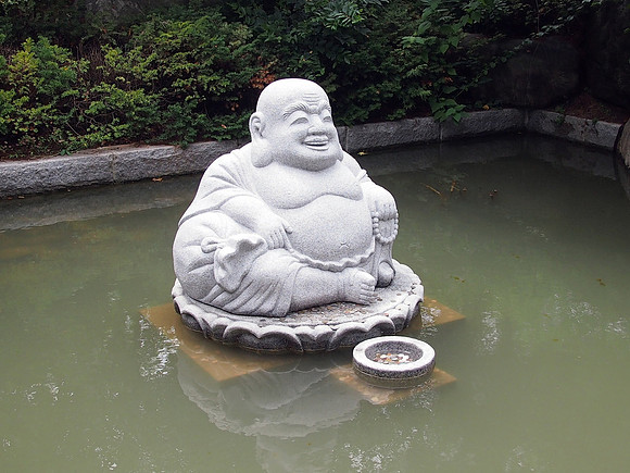 P7034519-lucky-budai