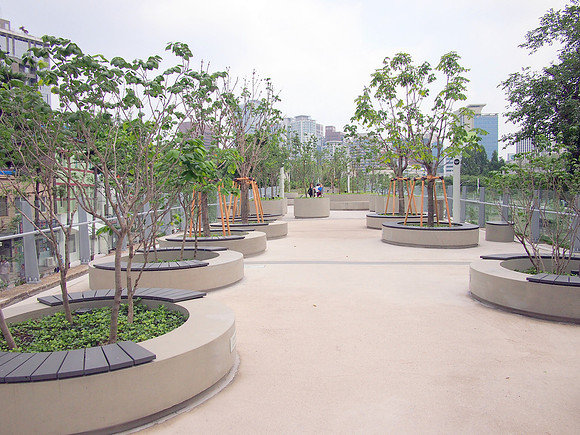 P7044578-seoullio-young-trees