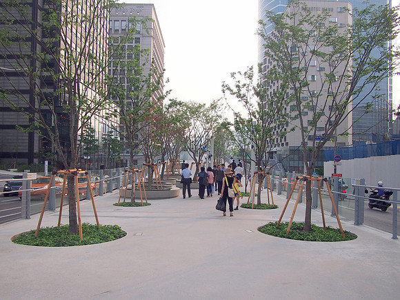 P7054730-seoullio-trees
