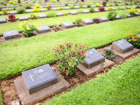 P7175464-war-graves