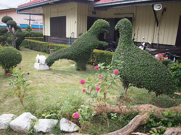 P7175475-station-garden