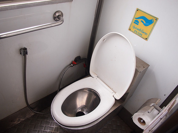 P7175302-western-toilet