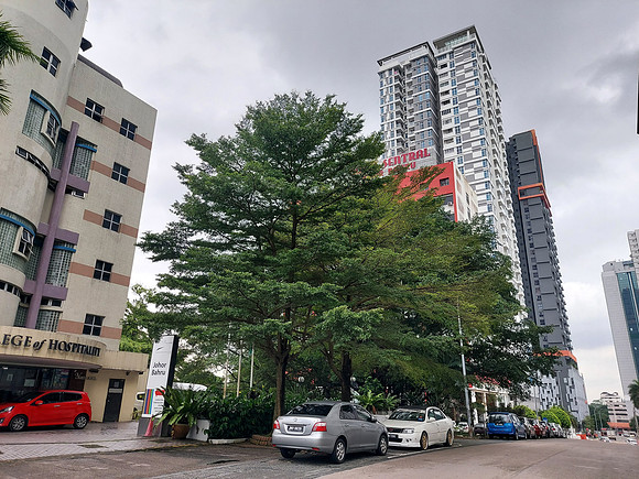 20220726_124322-erya-by-suria-jb