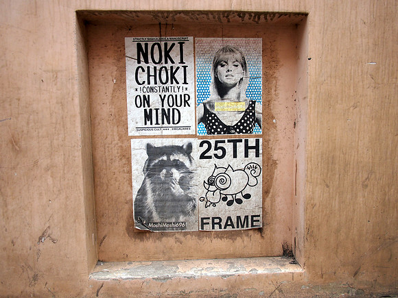P9086612-noki-choki
