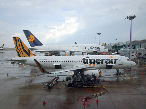 P9177266-lufthansa-and-tiger