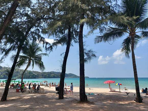20220123_130103-patong-beach-trees