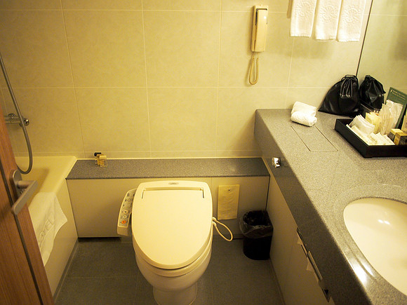 P9277555--keio-plaza-hotel-toilet
