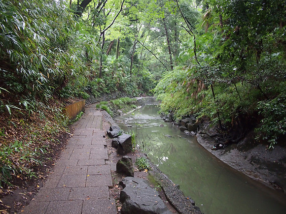 P9287578-todoroki-valley