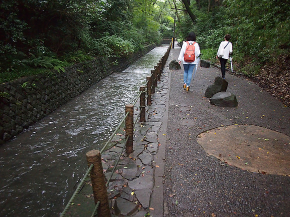 P9287587-todoroki-valley-walk