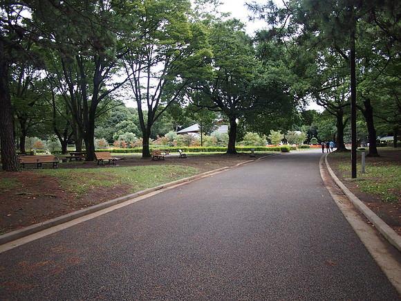 P9287646-yoyogi-park