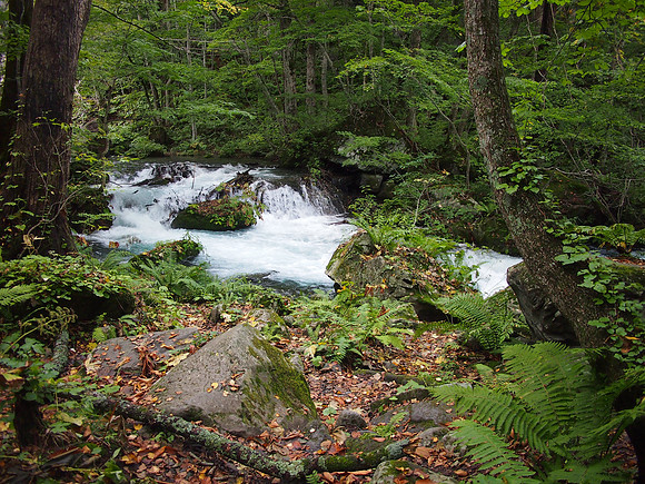 P9297767-rapids