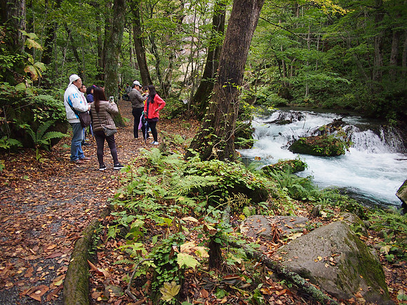 P9297768-stream-tourists