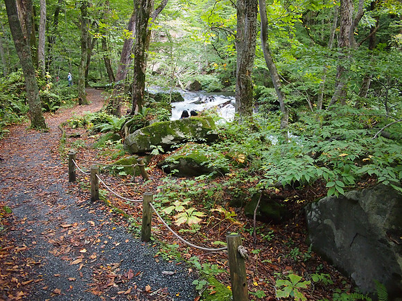 P9297771-oirase-stream-path